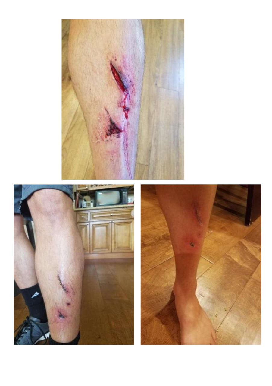 Strona 10 – Fototerapia Ogrody Spa