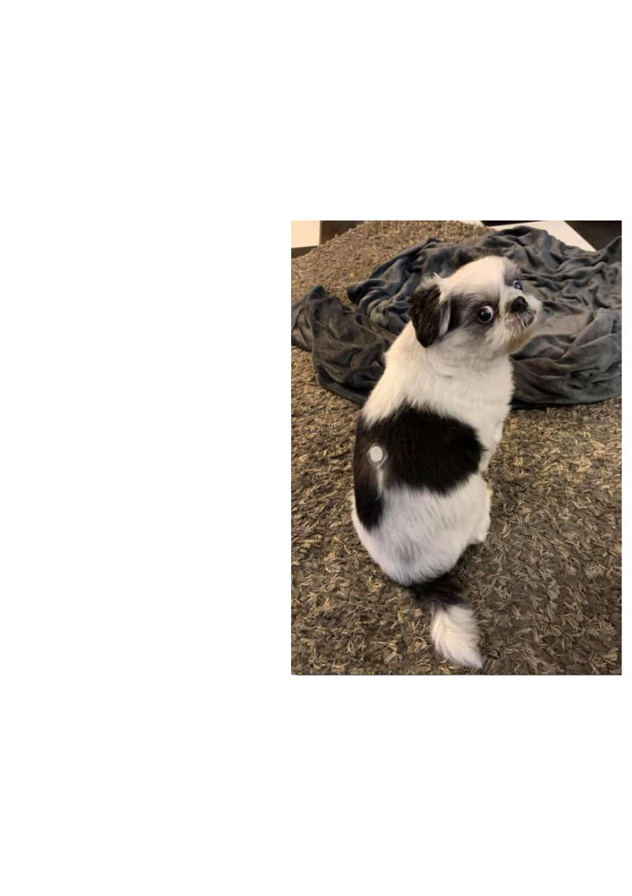 Strona 7 – Fototerapia Ogrody Spa