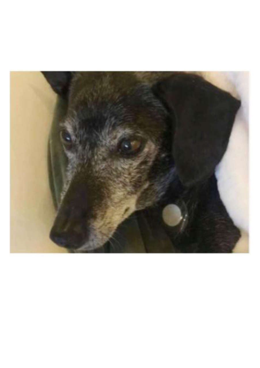 Strona 8 – Fototerapia Ogrody Spa