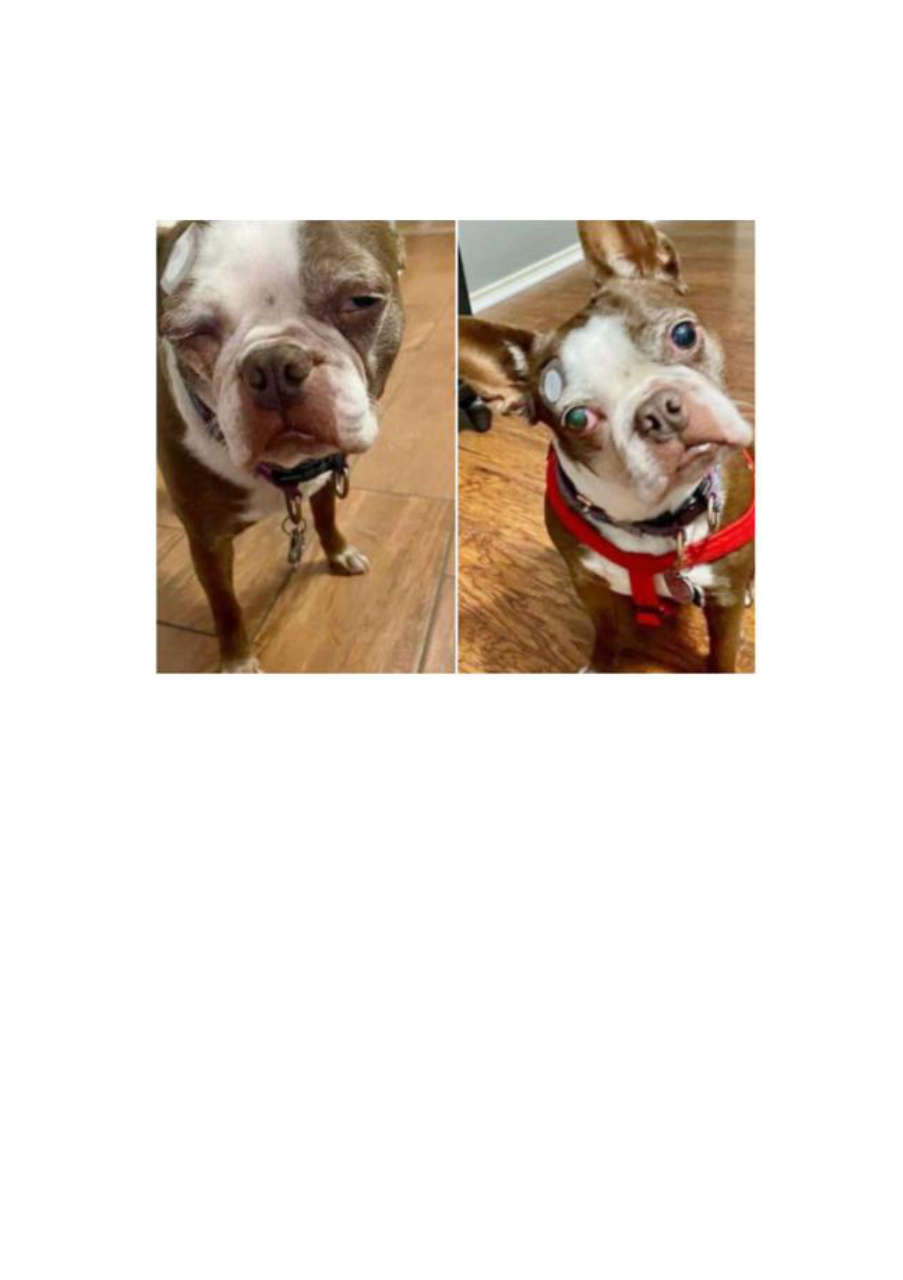 Strona 9 – Fototerapia Ogrody Spa