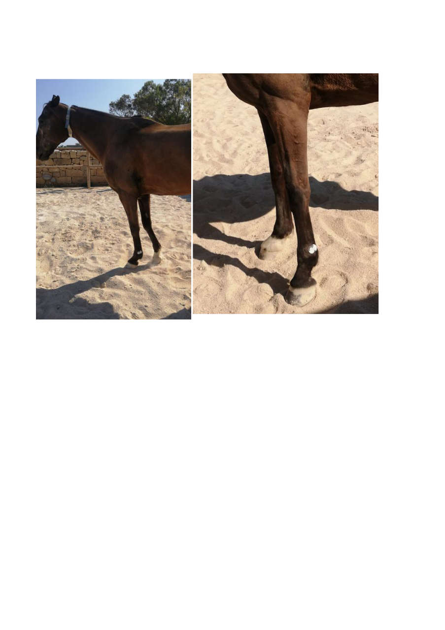 Strona 10 – Fototerapia Ogrody Spa