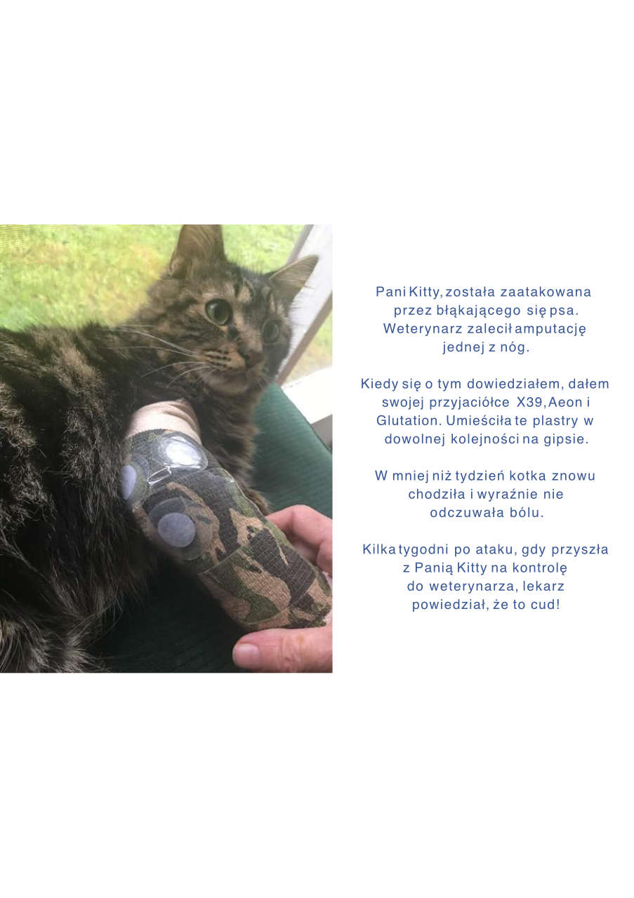 Strona 2 – Fototerapia Ogrody Spa