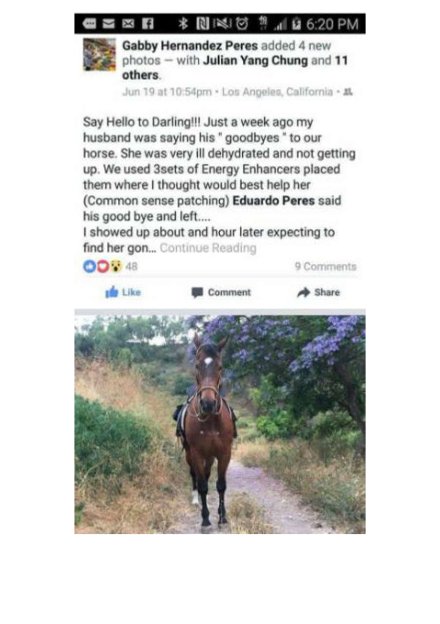 Strona 4 – Fototerapia Ogrody Spa