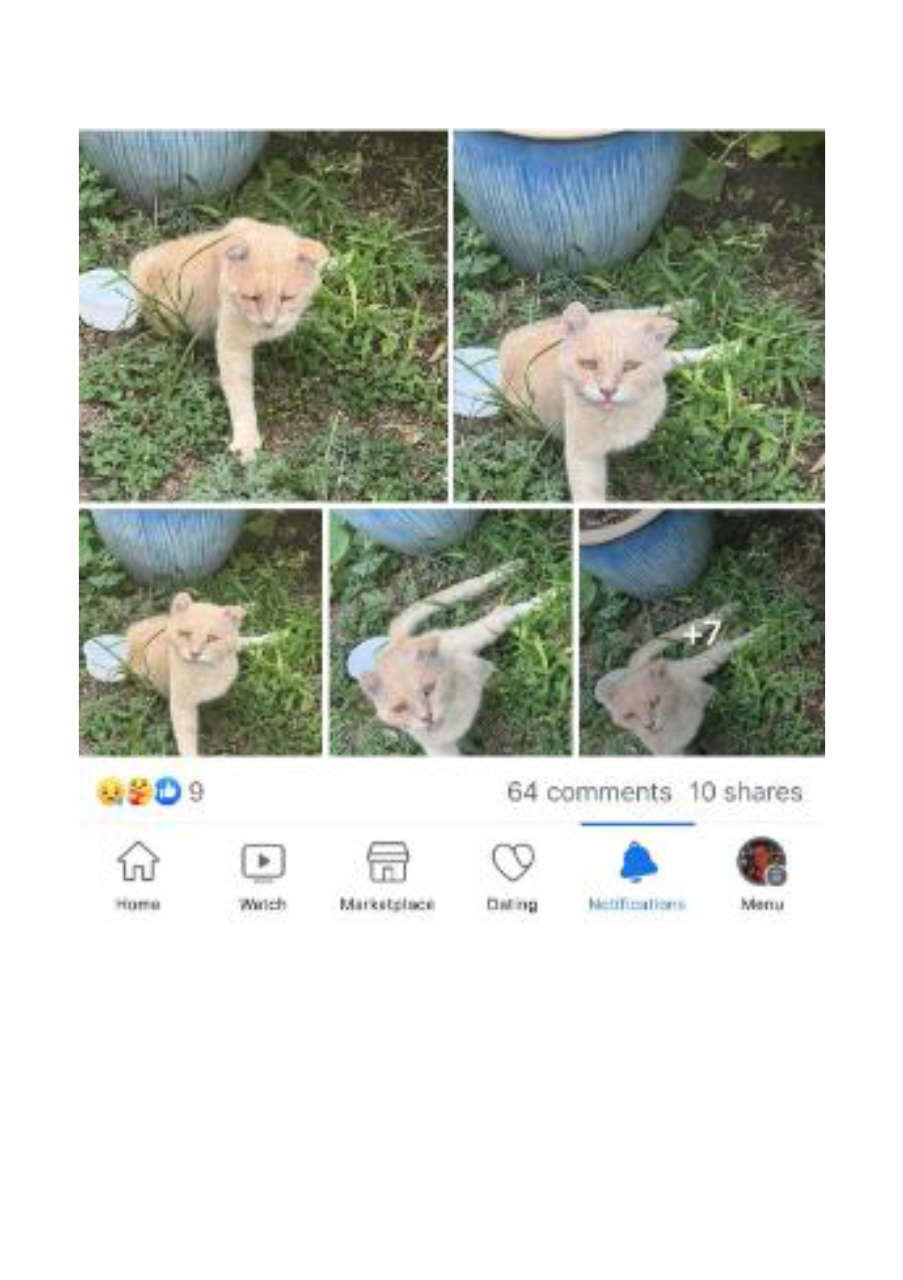 Strona 5 – Fototerapia Ogrody Spa