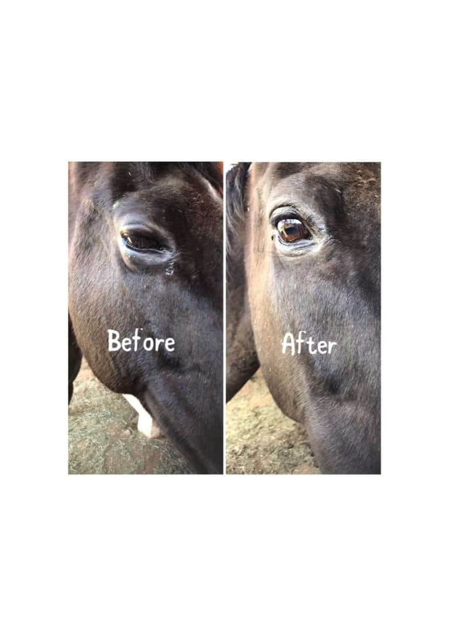 Strona 9 – Fototerapia Ogrody Spa